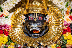 Daily Darshan