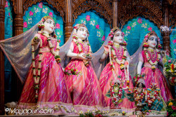 Daily Darshan