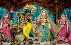 Daily Darshan