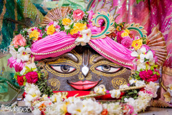 Daily Darshan
