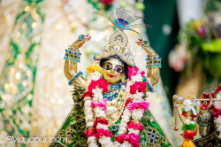 Daily Darshan