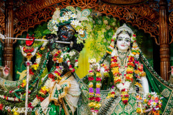 Daily Darshan