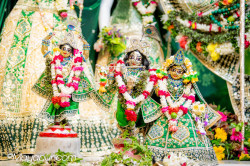 Daily Darshan