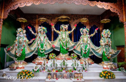 Daily Darshan