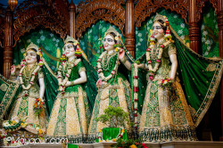 Daily Darshan