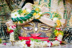 Daily Darshan