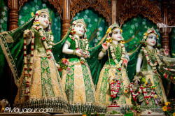 Daily Darshan