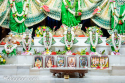Daily Darshan