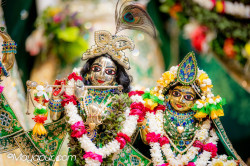 Daily Darshan