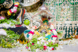 Daily Darshan