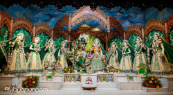 Daily Darshan