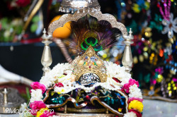 Daily Darshan