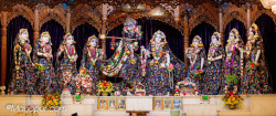 Daily Darshan