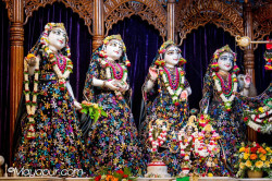 Daily Darshan