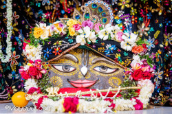 Daily Darshan