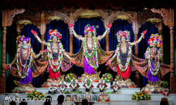 Daily Darshan
