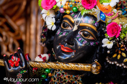 Daily Darshan
