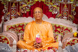 Daily Darshan
