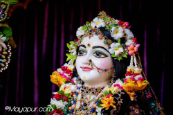 Daily Darshan