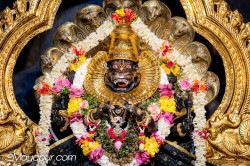 Daily Darshan