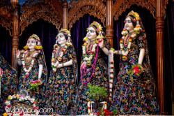Daily Darshan