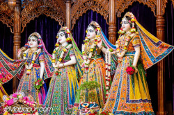 Daily Darshan
