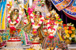 Daily Darshan