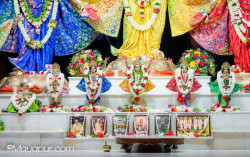Daily Darshan