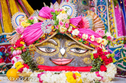 Daily Darshan