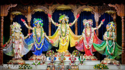 Daily Darshan