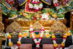 Daily Darshan