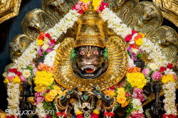 Daily Darshan