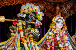 Daily Darshan