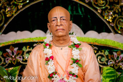 Daily Darshan