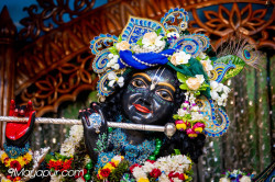 Daily Darshan