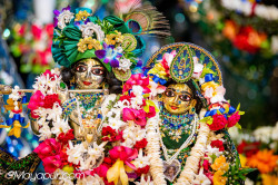 Daily Darshan