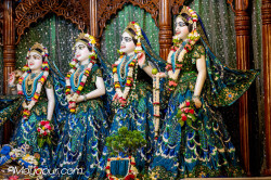 Daily Darshan