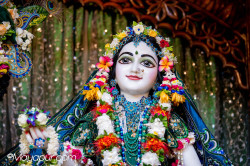 Daily Darshan