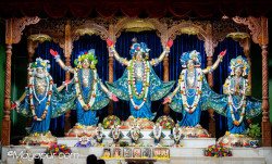 Daily Darshan