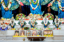 Daily Darshan