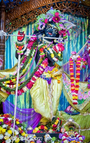 Daily Darshan