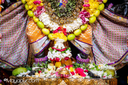 Daily Darshan