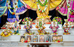 Daily Darshan