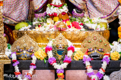 Daily Darshan