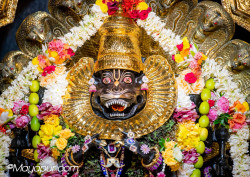 Daily Darshan