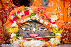 Daily Darshan
