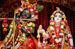 Daily Darshan