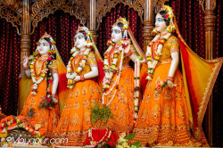 Daily Darshan