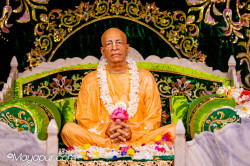 Daily Darshan