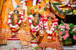 Daily Darshan